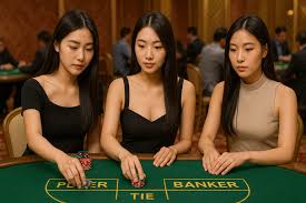 博魚體育官網(wǎng)下載