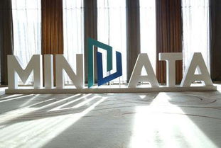 麥達(dá)數(shù)字用發(fā)布會(huì)啟動(dòng)數(shù)字產(chǎn)業(yè)價(jià)值探索征途